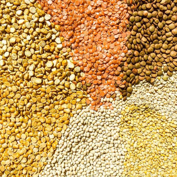 AmarTan unpolished lentils in rustic bowls under warm morning sunlight